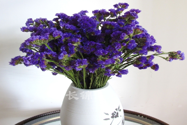 長錦園林www.cqylyh.com (248)