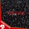 高碘值原生碳果殼活性炭 環(huán)保綠色產(chǎn)品 可再生利用