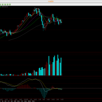 全面解讀個(gè)股期權(quán)投資必備