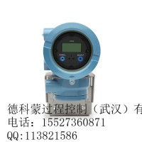 艾默生高準(zhǔn)流量變送器1700C12AFFEZZZ