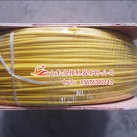 供應(yīng)燃?xì)夤艿朗聚櫨€、地埋示蹤線加工、可探測(cè)示蹤線廠家直銷