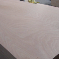 廠家生產雙面貼桃花芯面皮門板三合板三夾板膠合板