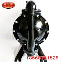 BQG-100/0.3煤礦用氣動(dòng)隔膜泵