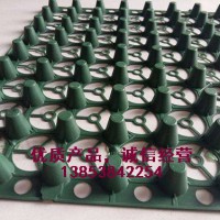 玉溪2公分車庫排水板，廠家供應