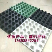 2公分3公分4公分車排水板、蓄排水板廠家直銷