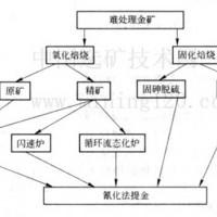 鉑思特低品位原生金礦石的生物柱浸工藝，選金尾礦渣回收金的設(shè)備