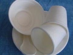 中國生態安全降解包裝制品產業網