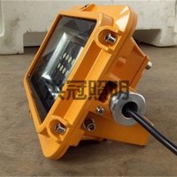 ZFZD-E6W8121 防爆安全出口標志燈消防應急燈