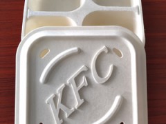 秸稈生態全降解快餐打包盒桶生產流水線