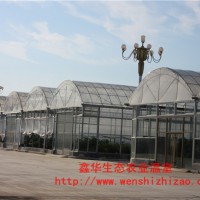 專業(yè)定制連棟大棚 連棟花房育苗溫室 山東鑫華廠家現(xiàn)貨批發(fā)
