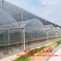智能溫室連棟大棚 遮陽(yáng)連棟大棚塑料薄膜 蔬菜農(nóng)業(yè)連棟大棚