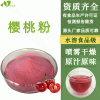 陜西元貝貝生物廠家直供濃縮無(wú)添加櫻桃粉