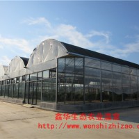 好廠家推薦 薄膜溫室大棚 拱形薄膜溫室大棚 上門(mén)指導(dǎo)安裝