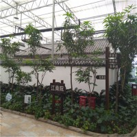 設(shè)計(jì) 智能溫室生態(tài)餐廳  連棟玻璃溫室